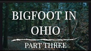 BIGFOOT IN OHIO  PART THREE [upl. by Ynttirb]