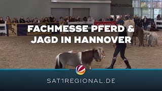 Fachmesse Pferd amp Jagd in Hannover gestartet [upl. by Trebreh]