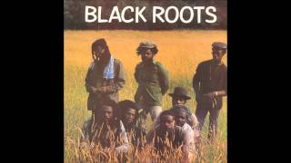 Black Roots  Black Roots full album [upl. by Shull]