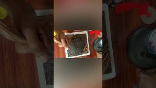 Chocolate brownie recipe in tamil [upl. by Oicaro]