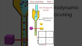 Flow Cytometry Principle Part 1 animation [upl. by Eveneg]