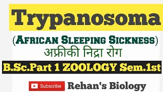 African Sleeping Sickness Trypanosoma Rehans Biology निद्रा रोग BScPart1Zoology semester1st [upl. by Constant262]