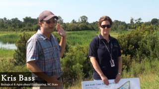 Jack Smith Creek Stormwater Wetlands Project [upl. by Eitteb788]