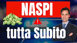 PARTITA IVA E DISOCCUPAZIONE GUIDA SU COME FARE DOMANDA DI NASPI ANTICIPATA Tutorial completo 2024 [upl. by Mooney]