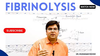 Fibrinolysis  Thrombolysis  Clot Dissolution  Plasmin  Thrombolytic system  DDimers  Blood [upl. by Kile]