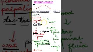 Trypanosomiasis [upl. by Artemla]