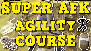 NEW Super AFK Agility Course  Colossal Wyrm Agility Course Guide OSRS [upl. by Ahtoelc371]