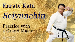 Karate Kata  Seiyunchin a Grand Master shows you  Practice with a Grand Master  Ageshio Japan [upl. by Arahd]