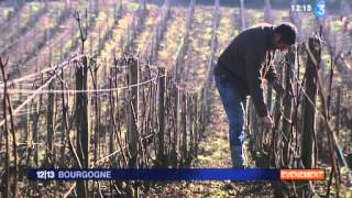 Domaine Ramonet à CHASSAGNEMONTRACHET [upl. by Drape]