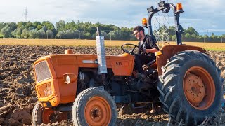 Aratura Tradizionale a Murelle di Villanova  Un Tuffo nella Storia Agricola [upl. by Colleen]