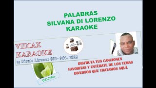 Silvana Di Lorenzo Palabras karaoke [upl. by Marou]