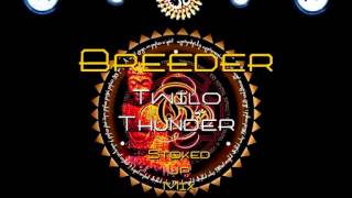 Breeder  Twilo Thunder Stoked Up Mix ·1999· [upl. by Helena]