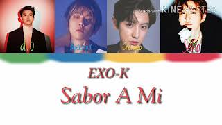 EXO K Sabor A Mi Lyric Color Coded  Espanol  Subindo [upl. by Oicafinob]