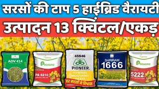 Top 5 Best Hybrid Mustard Variety सरसों की 5 हाईब्रिड वैरायटीSarson ki kheti [upl. by Dnomaid]