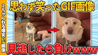 【おもしろgif総集編】思わず吹いた爆笑gif画像集ww 【コメ付き】【ゆっくり解説】【2chスレ】【5ch】 [upl. by Sirraf]