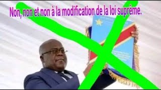 Debat Congolais UDPS  PAPY TAMBA sur la revision constitutionelle [upl. by Larochelle]