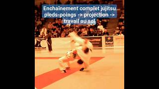 Enchaînement Technique de Jujitsu 08 par Pierre Paulin [upl. by Adnanref]