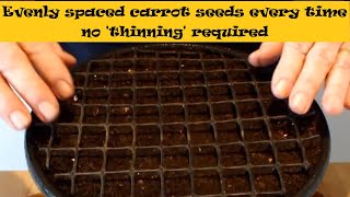 How to grow Carrots using pelleted seeds a bucket amp a grid pattern to help sow your seeds thinly [upl. by Nimesay]