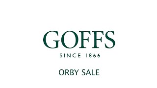 Goffs Orby Sale 2020  Day 1 [upl. by Nuahsel441]