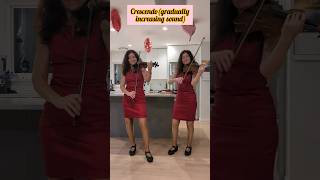 Violin vs viola crescendo decrescendo shorts [upl. by Pedrick220]