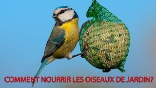 Oiseaux du jardin Sachez les nourrir [upl. by Yrrehc]