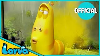 LARVA  FARTING COMPILATION  2017 Full Movie Cartoon  Cartoons  Comics  LARVA Official [upl. by Aleafar446]