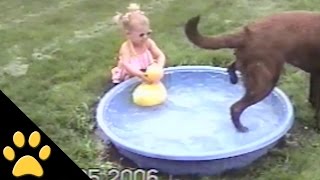 Dog Ruins Little Girls Rubber Duck Play Time [upl. by Harrington]