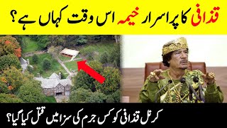 Who Was Muammar Qaddafi  Who Killed Qaddafi  Life Story Of Colonel Qaddafi  INFO at ADIL [upl. by Yalcrab955]