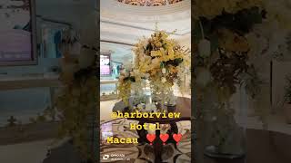 4k harborviewhotel flowers amazubgviewmacau [upl. by Ahtanaram]