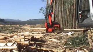 SP 591 LX on Hitachi Zaxis 200  Eucalyptus debarking in Howick South Africa [upl. by Esenwahs]