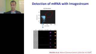 Filippos Porichis  Detection of RNAs with flow cytometry [upl. by Thordis]