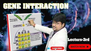 quotGenetics Gene Interaction Explained  Class XII amp NEETquot [upl. by Ploss]