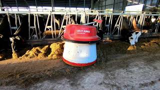 Lely Juno Feed Pusher  Product Overview [upl. by Sinnylg]