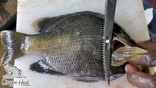 The Easiest Way to Filet Bluegill [upl. by Leugim875]