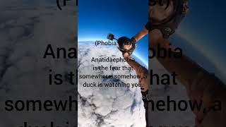 Anatidaephobia  phobia test  fact facts tiktok viral america shorts [upl. by Toomin]