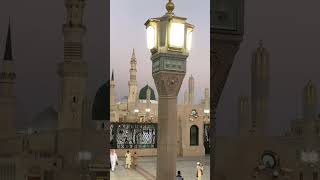 Wo shahr e muhabbat jaha mustafa ﷺ hai 😍🌸 islamiclove viralshorts madina [upl. by Acimak167]