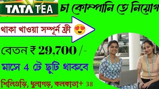 মাসে 29000 টাকা  প্যাকিং কাজ  Tata tea job vacancy 2024  High Salary job kolkata [upl. by Kcirtap]