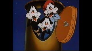 Animaniacs commercial break part 1 March 1994 [upl. by Jahdal]