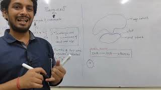 RIBOSOME protein synthesizing organelleCell Biology [upl. by Eemyaj]