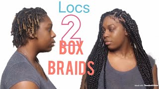 HOW TO Put Box Braids Over Locs [upl. by Stutzman]