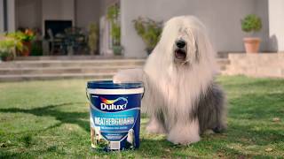 Commercials DULUX 2017 [upl. by Torres]