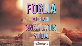 LA FOGLIA [upl. by Nancee810]