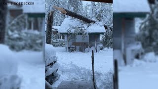 Thousands of trees down MonarchNeihart residents continue cleanup following early May storm [upl. by Bevers753]