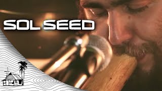 Sol Seed  Family Tree Live Music  Sugarshack Sessions [upl. by Anora]