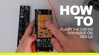 How to flash the EXPFX firmwares on Sibilla [upl. by Aicek458]