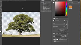 Photoshop tutoriel comment détourer un arbre [upl. by Eissed605]