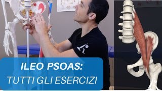 Esercizi per ILEO PSOAS il muscolo che quotinfiammaquot SCHIENA e ANCA [upl. by Waverly539]