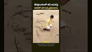 Hidden Dangers of Walking on Wet Sand at Beaches beach danger telugufacts shorts telugunews [upl. by Uel196]