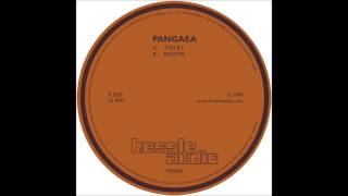 Pangaea  Router [upl. by Winer170]