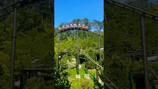 FireChaser Express launches backwards dollywood fun attraction rollercoaster amusementpark fy [upl. by Adnarim]